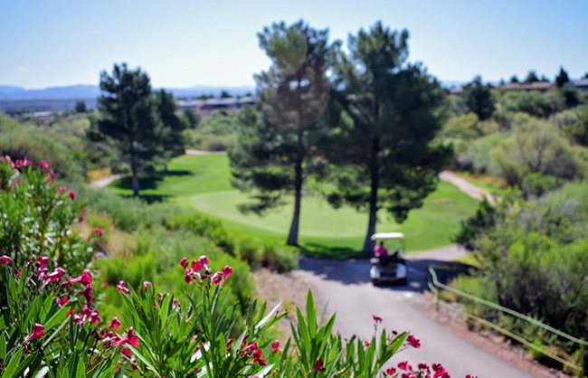 Home - Coyote Trails Golf Course