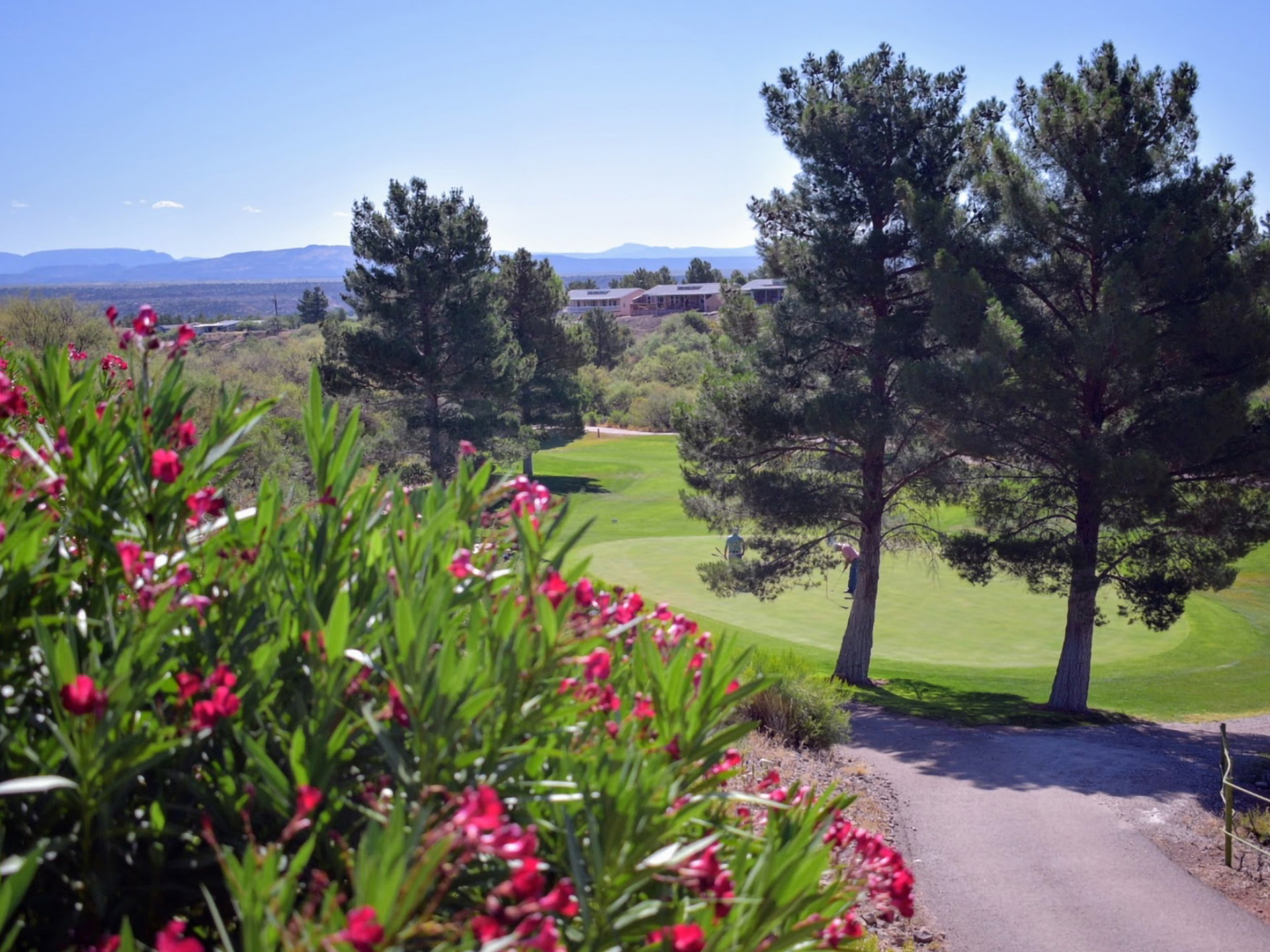 Home - Coyote Trails Golf Course